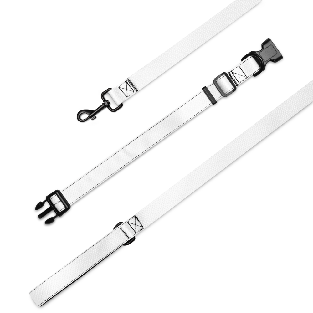 Vestments Pet Collar & Leash