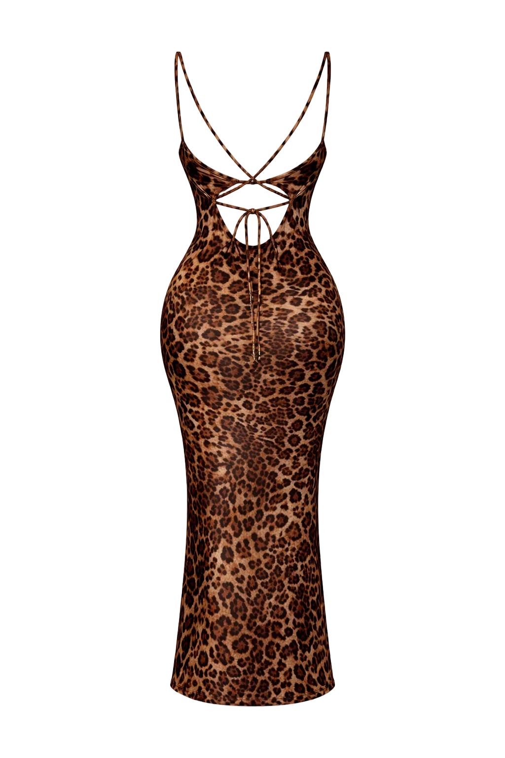 Vestments Leopard Print Dress